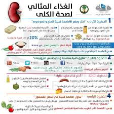 الغذاء المثالي لصحة الكلى Heath Care How To Stay Healthy Health Diet