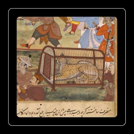 During their hunting expeditions, the Mughals used trained cheetahs, like the one sporting a red collar in the painting, to bring down their prey. Akbar, the Mughal emperor, had a particular soft