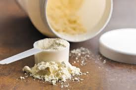 protein powder for muscle mass