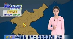 Repubblica socialista monopartitica sotto una dittatura totalitaria. Coreea De Nord IÈ™i AvertizeazÄƒ PopulaÈ›ia Cu Privire La Un Praf Galben Venit Din China Care Poate ConÈ›ine Coronavirus