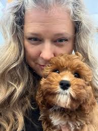 Where to find a female Cavapoo in the Orlando area?