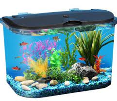 1 botol aqua besar : Cara Membuat Aquarium