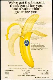 The banana blooms in november.la platanera florece en noviembre. Chiquita Brand Story Who Is Miss Chiquita Chiquita Bananas