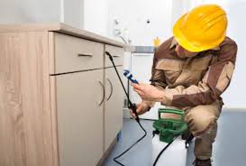 تجربتي مع شركة مكافحة الحشرات 0565569674 مؤسسة الصفوة بالسعودية