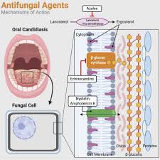 Certain foods such as candy and other junk with refined sugars are obvious candida proliferators. Fungal Infections In Dentistry Clinical Presentations Diagnosis And Treatment Alternatives Oral Surgery Oral Medicine Oral Pathology And Oral Radiology