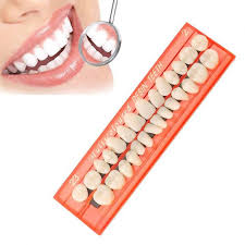Check spelling or type a new query. Lomg 28 Pcs Set Resin Gigi Model Tahan Lama Gigi Palsu Universal Resi Gigi Palsu Lazada Indonesia