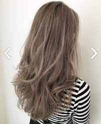 June9 Com Ash Brown Hair Color Ash Hair Color Hair Color Asian