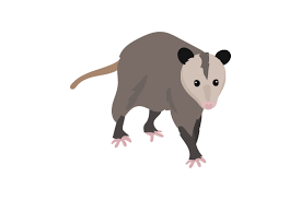 Cross stitch design is all full cross stitches. Possum Svg Cut File By Creative Fabrica Crafts Creative Fabrica