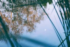 This chinese name means of the dignified kind. 52. The 11 Most Beautiful Chinese Names And What They Mean