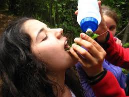 The thomas Jefferson School