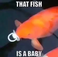 The Fish Is A Baby Coof Coof Fish In 2020 Edgy Memes Stupid Memes Memes