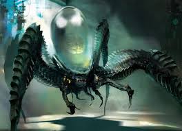 Image result for Psydrax richardsiae