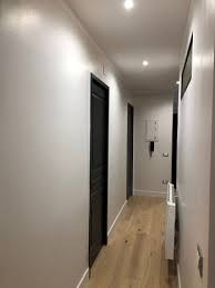 Une couleur foncée s'harmonise bien avec un plancher clair. Renovation D Un Appartement De 50m2 A Bordeaux Interieur Essentiel