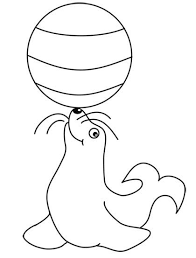 Veja mais ideias sobre desenhos, colorir, desenhos para colorir. Foca Circo Dibujo Bunny Coloring Pages Circus Crafts Butterfly Painting