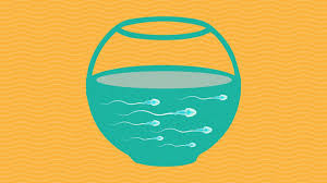 Tina malti, a professor of psychology at the university of toronto who has studied the development of guilt in children, considers guilt an emotion similar to empathy. The 7 Step Checklist To Healthy Fertile Sperm