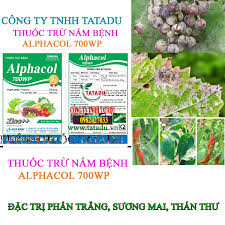 Alphacol 700WP