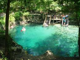 Located in one of floridas newest state parks, this crystal clear, first magnitude spring is a popular spot for swimming and scuba diving. 7 Natural Springs And State Parks You Need To Visit In Florida South Florida Weekend