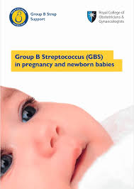 Image result for Group B Streptococcus