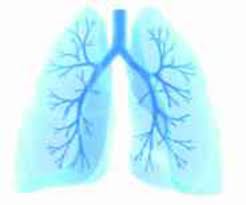 Wenn Das Atmen Schwer Fallt Die Wichtigsten Fakten Zu Den Atemwegserkrankungen Asthma Und Copd