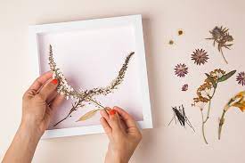 Dried flower wall art diy. Diy Pressed Flower Wall Art Design Sponge