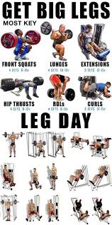 Circuit Training Guide Fitness Training Fitness Body Bodybuilding Workouts