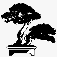 Download a free preview or high quality adobe illustrator ai, eps, pdf and high resolution jpeg versions. Japan Clipart Bonsai Tree Bonsai Tree Vector Png Png Image Transparent Png Free Download On Seekpng