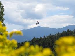 Experience Bretton Woods Ski Resort In The Summer Time Fly High Above The Trees On A 3 Hour Canopy Washington Resorts Mount Washington Hotel Mount Washington