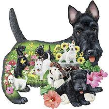 Bits And Pieces Song Scotland Bits And Pieces 300 Piece Shaped Puzzle Steadfast Scotties Scotty Dog Puppies By Artist Jack Williams 300 Pc Jig Scottie Dog Dog Puzzles Diy Dog Stuff