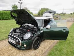 Image result for Oxford Green 2014 Mini