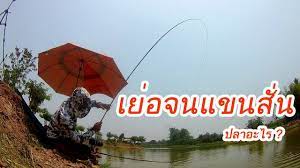 ช งหล ว ปลา 1 ต ว เย อก นจนแขนส น ค นท แพคกลางอ อนสไตล เฮร า ปลา