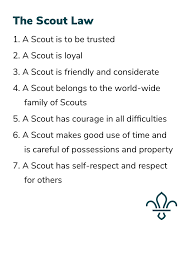 Scout making promise