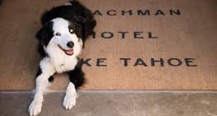 Maybe you would like to learn more about one of these? Pet Friendly Hotels Pet Friendly Hotels Lake Tahoe