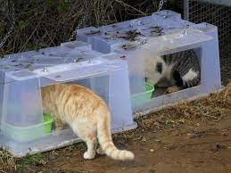 Pin By Made In Vancouver Usa On Reutilizar Feral Cat House Feral Cat Shelter Outdoor Cat Shelter