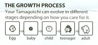 Tamagotchi Life Cycle Tamagotchi Wiki Fandom