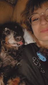 My old boy Bruce asleep 😴 with me. He is my best pet friend. We haven't  posted in a while. He is a miniature, long haired, silky. He is blind and  toothless.