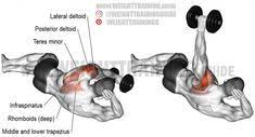 Maybe you would like to learn more about one of these? Side Lying Reverse Dumbbell Fly Exercise Instructions And Videos Shoulder Workout Shoulder Workout Bodybuilding Rear Delt