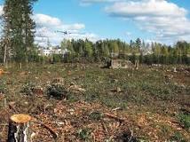 Image result