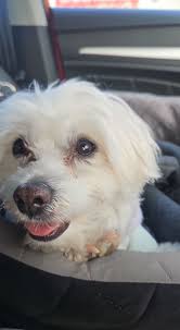 Edit: Taken! Free upright working freezer. It has 4 baskets and one flat  grilled shelf. Needs to be collected today preferably. PM for address