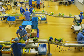 Terdapat 17 jenis pengeluaran sebahagian yang boleh dibuat sebelum pengeluaran penuh pada 55 tahun bagi memudahkan ahli kwsp membuat persediaan bagi menghadapi persaraan yang lebih selesa. Perisa Laksa Kari Dari Mamee Chef Dan Kisah Mamee Chef D Mek Onie