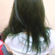 We did not find results for: Miranda Miranda Hair Color Green Review Female Daily