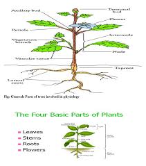 We did not find results for: Download Pdf Introduction To Plant Physiology
