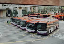 Image result for Green 2020 Fleet