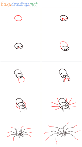 For the full tutorial with step by step & speed control visit: How To Draw A Spider Step By Step 10 Easy Phase Video