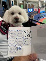 Some more happy snaps from yesterday's Trophy Day at Albert. Thanks  everyone for coming and making it a special day for Patroness Rose's  Birthday celebrations.😊