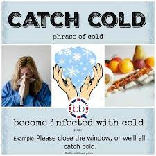 What S The Meaning Of Catch Cold Catch Cold Means Become Infected With Cold English Vocabulary And Gram Learn English English Idioms English Vocabulary