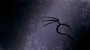 Pin On Likes Kali linux, kali linux nethunter, linux, dragon, backtrack. pin on likes