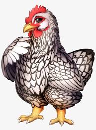 Because of the intricate lacing, the wyandotte is my favorite yard ornament, even though she's meant for much more. Chicken Hen Silver Laced Wyandotte Chicken Furvilla 1750x2111 Png Download Pngkit