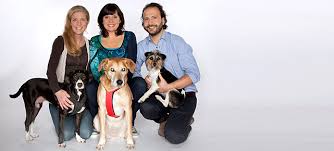 Das mit dem alter sind doch alles nur vermutungen. Tiere Suchen Ein Zuhause Das Sind Claudia Ludwigs Nachfolger