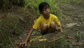 How are the above figures relevant in malaysia's context? Palm Oil For The West Exploitation For Young Workers In Malaysia The Atlantic