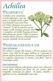 Sono sempre meno diffusi ma riempiono i bordi delle strade con il loro rosso intenso. 32 Idee Su Fiori E Erbe Spontanee Nel 2021 Erbe Rimedi Naturali Rimedi